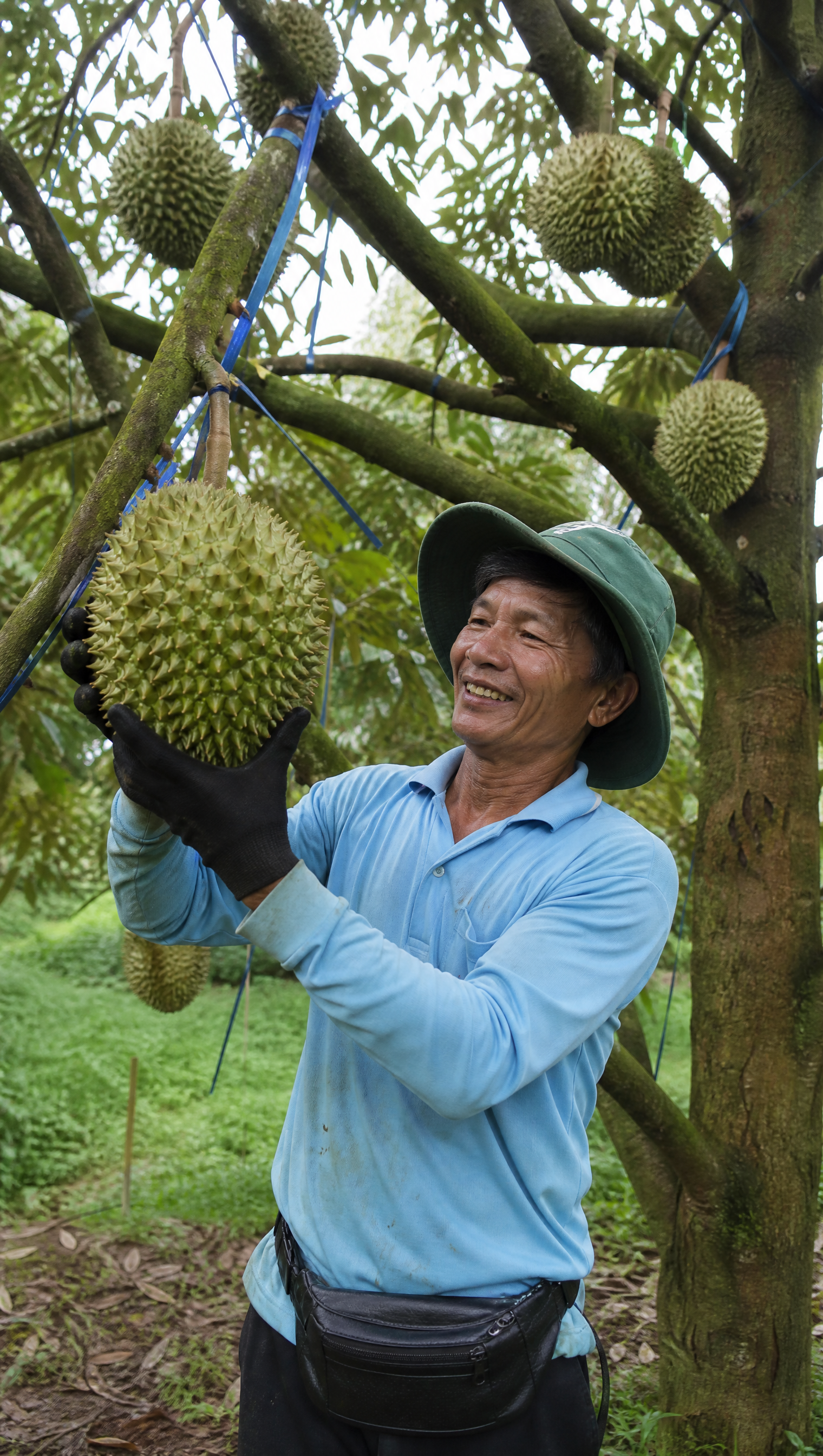 Djirian farming partners in their orchard
